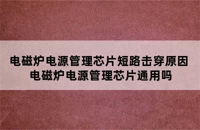 电磁炉电源管理芯片短路击穿原因 电磁炉电源管理芯片通用吗